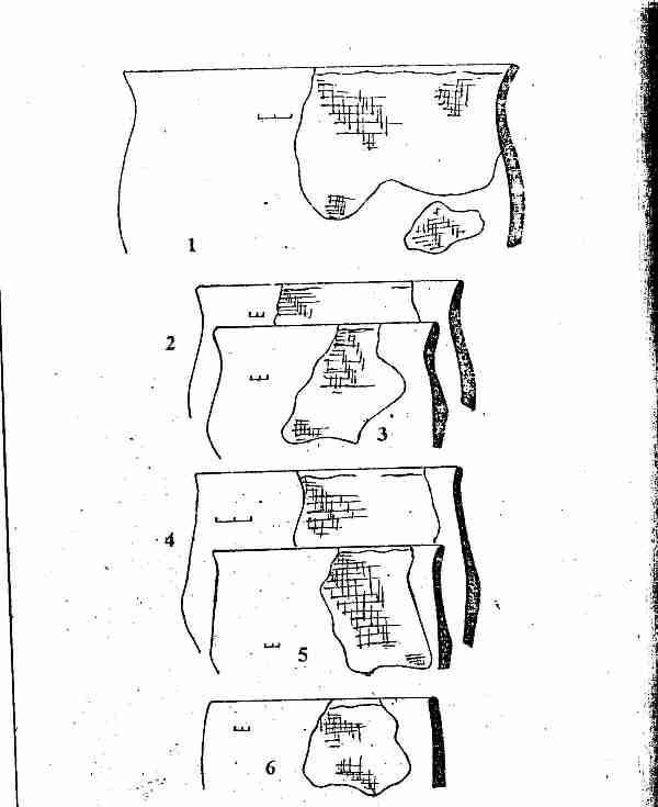 Рис. 4. Культовое место Шапкино II. Chrekov_Kultovoe-4