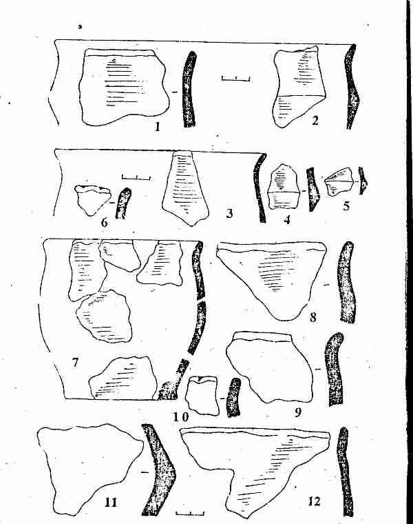Puc. 5. Культовое место Шапкино II. Chrekov_Kultovoe-5