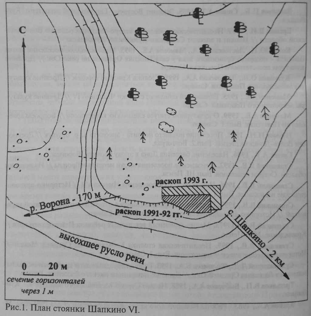  стоянка Шапкино VI