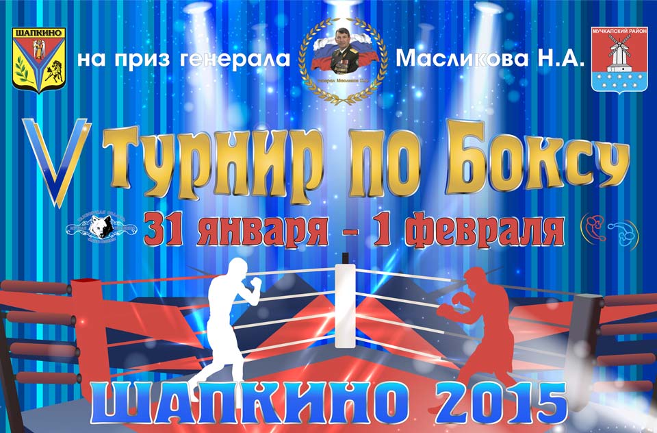 2015 01 31 5 turnir po boxu shapkino