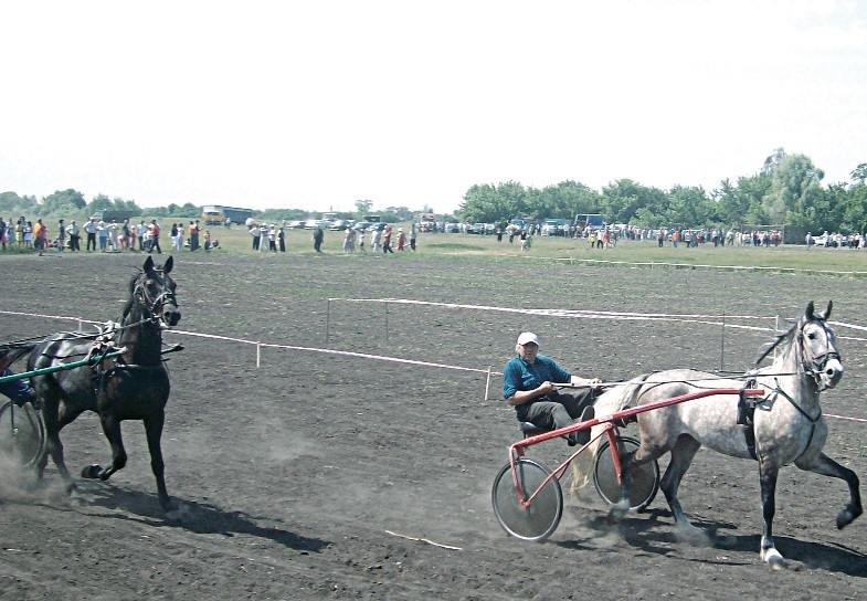 2016 06 12 konnosportivni prazdnik