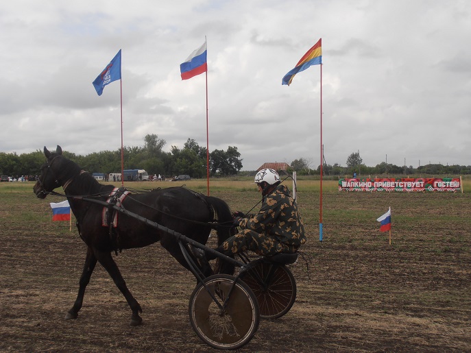 2014-06-12-8-ой конно-спортивный праздник